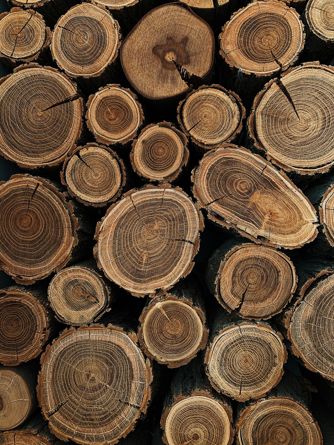Veta y textura de la madera